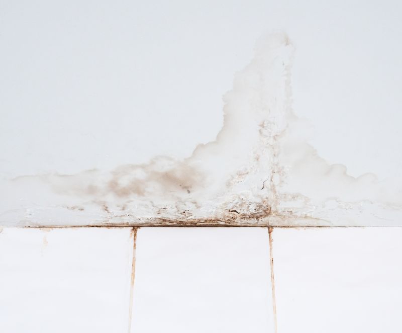 Bathroom Water Damage Repair in Conroe, TX